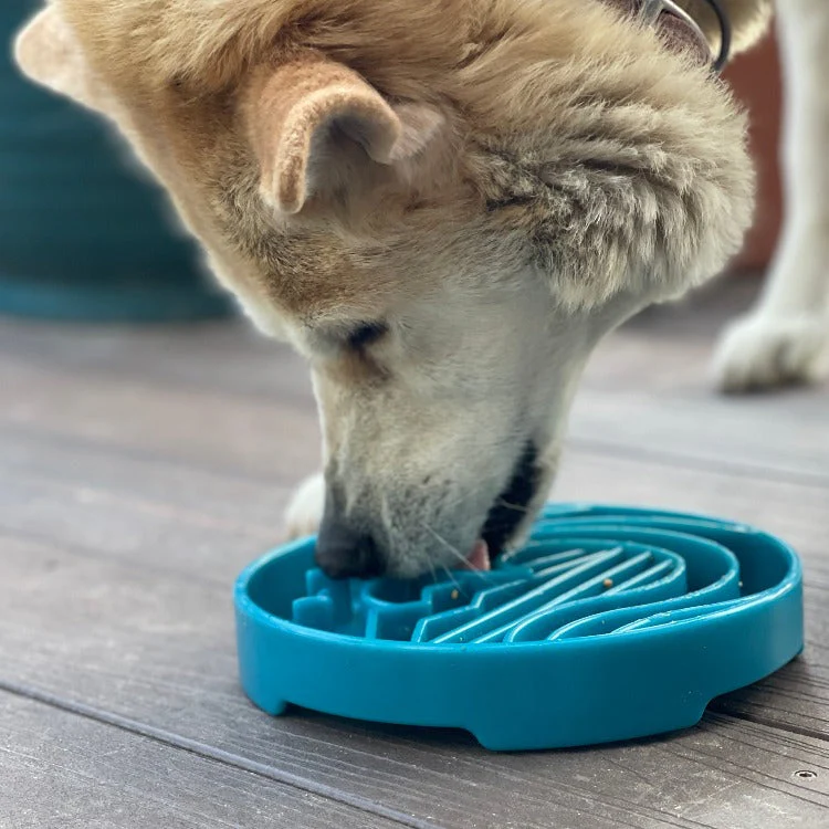 Baja Design eTray - Shallow Slow Feeder Dog Bowl for Enrichment | USA Made - Image 8