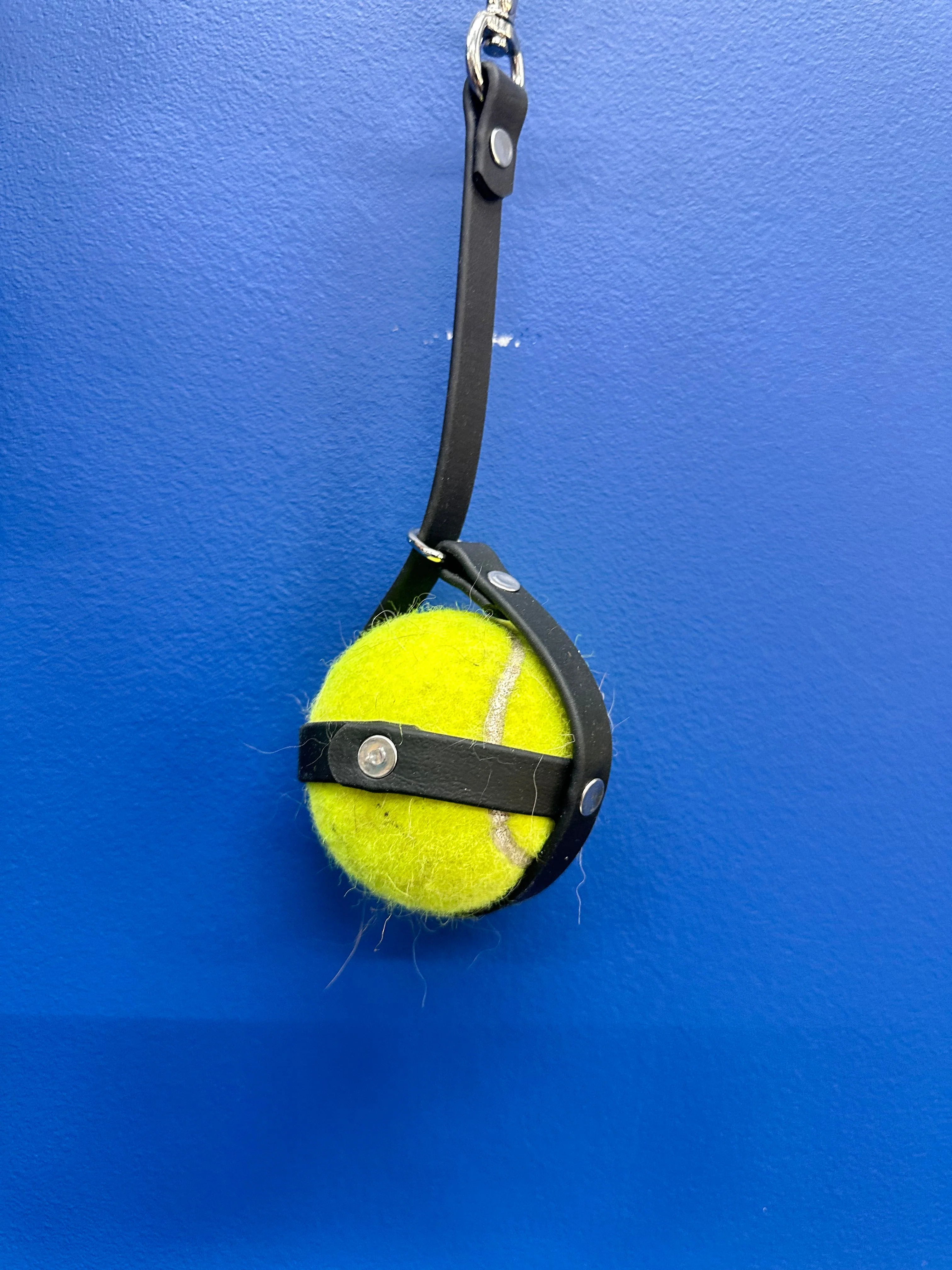 Ball Sack - Image 2