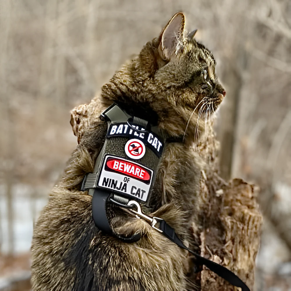 BATTLE CAT Arch Morale Patch - Image 2