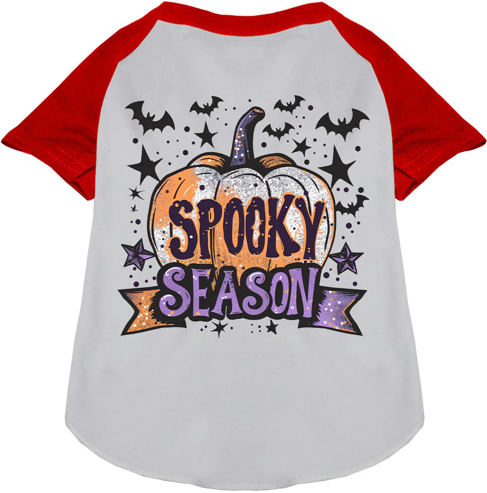 Batty Spooky Season Pet Raglan Shirt - Image 7