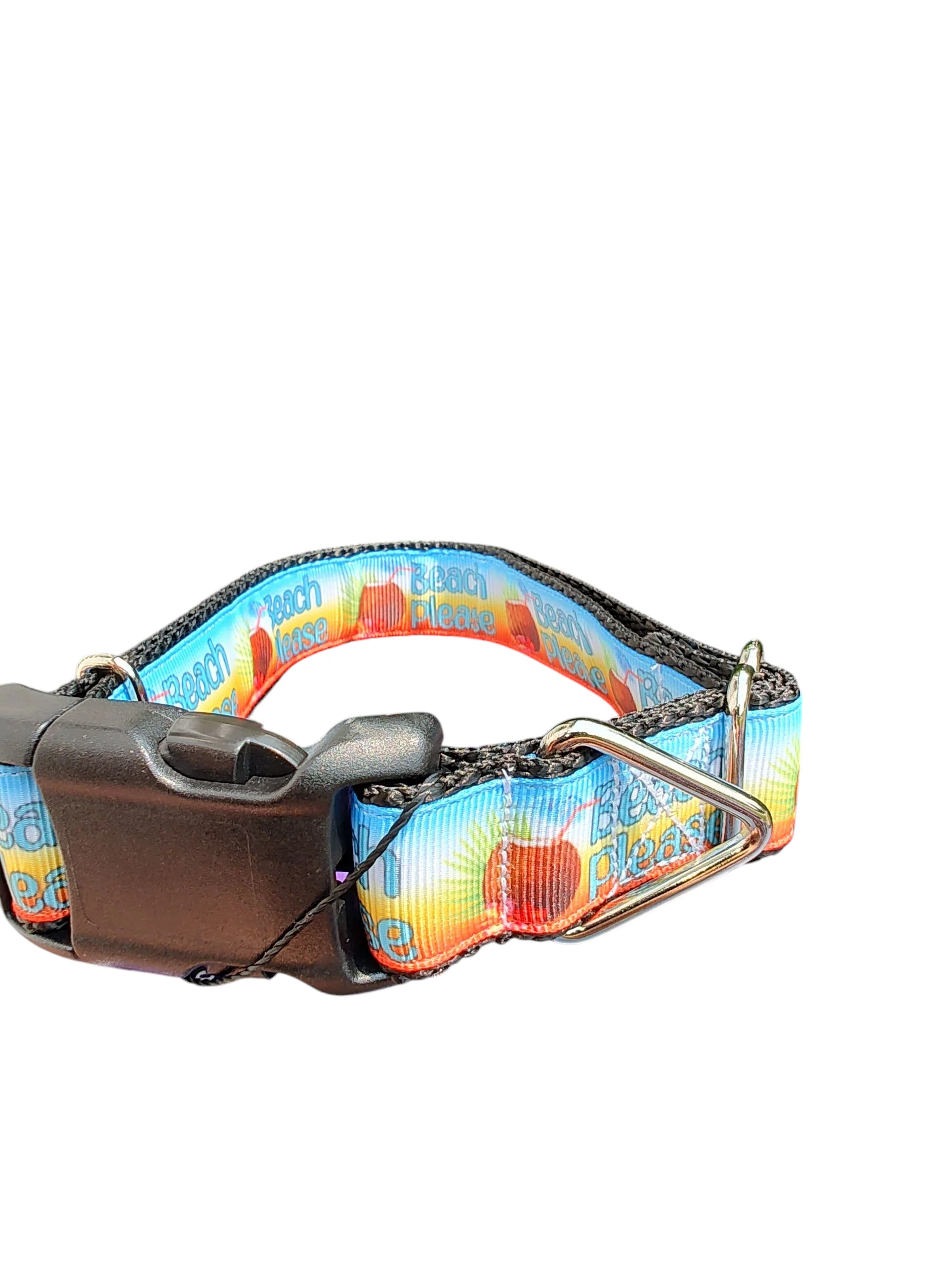 Beach Please Nylon Dog Collar - Image 2
