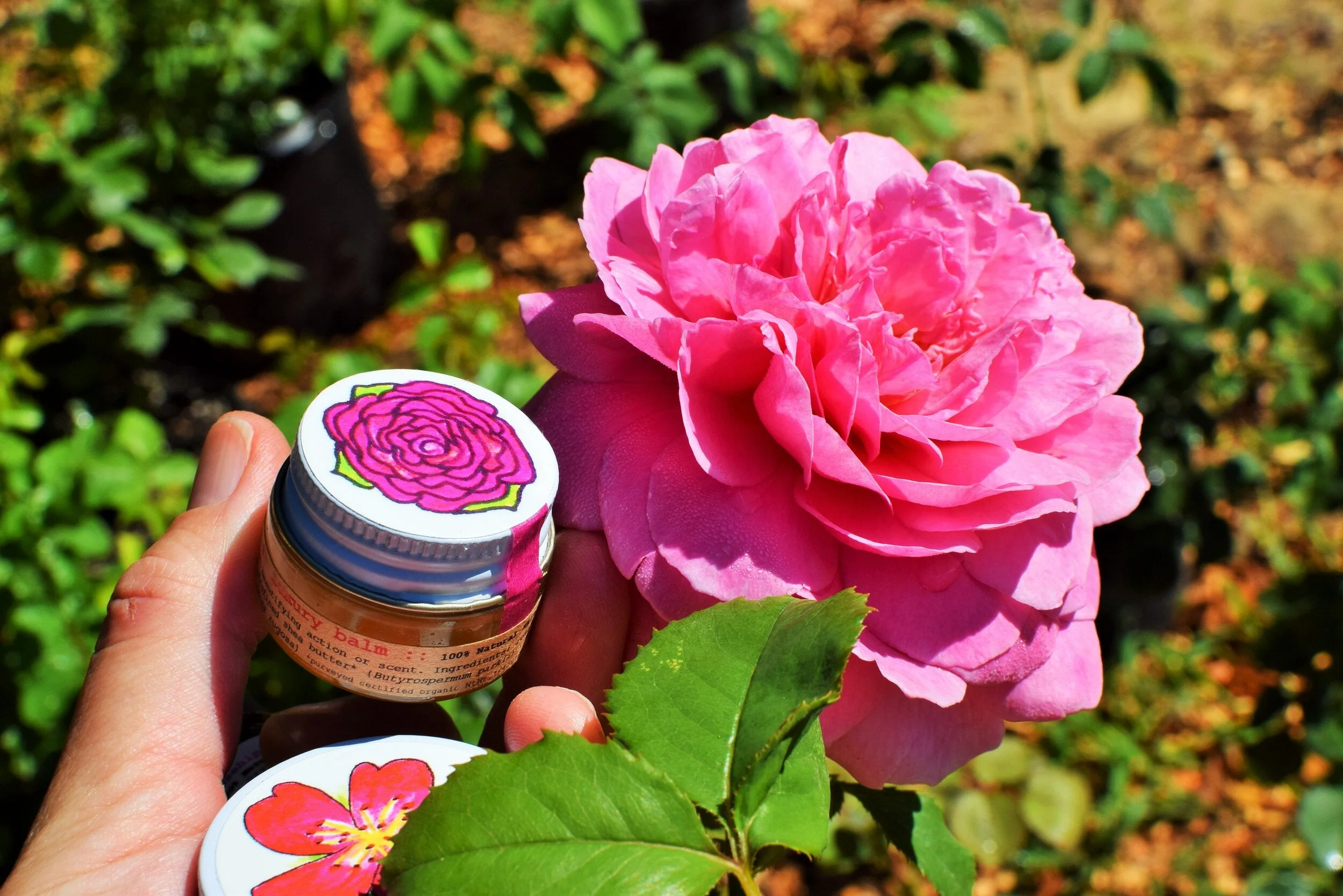Beach Rose Luxury Balm - Image 6