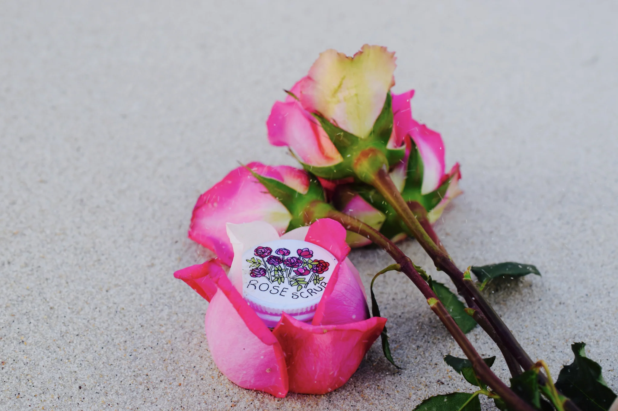 Beach Rose Scrub - Image 14