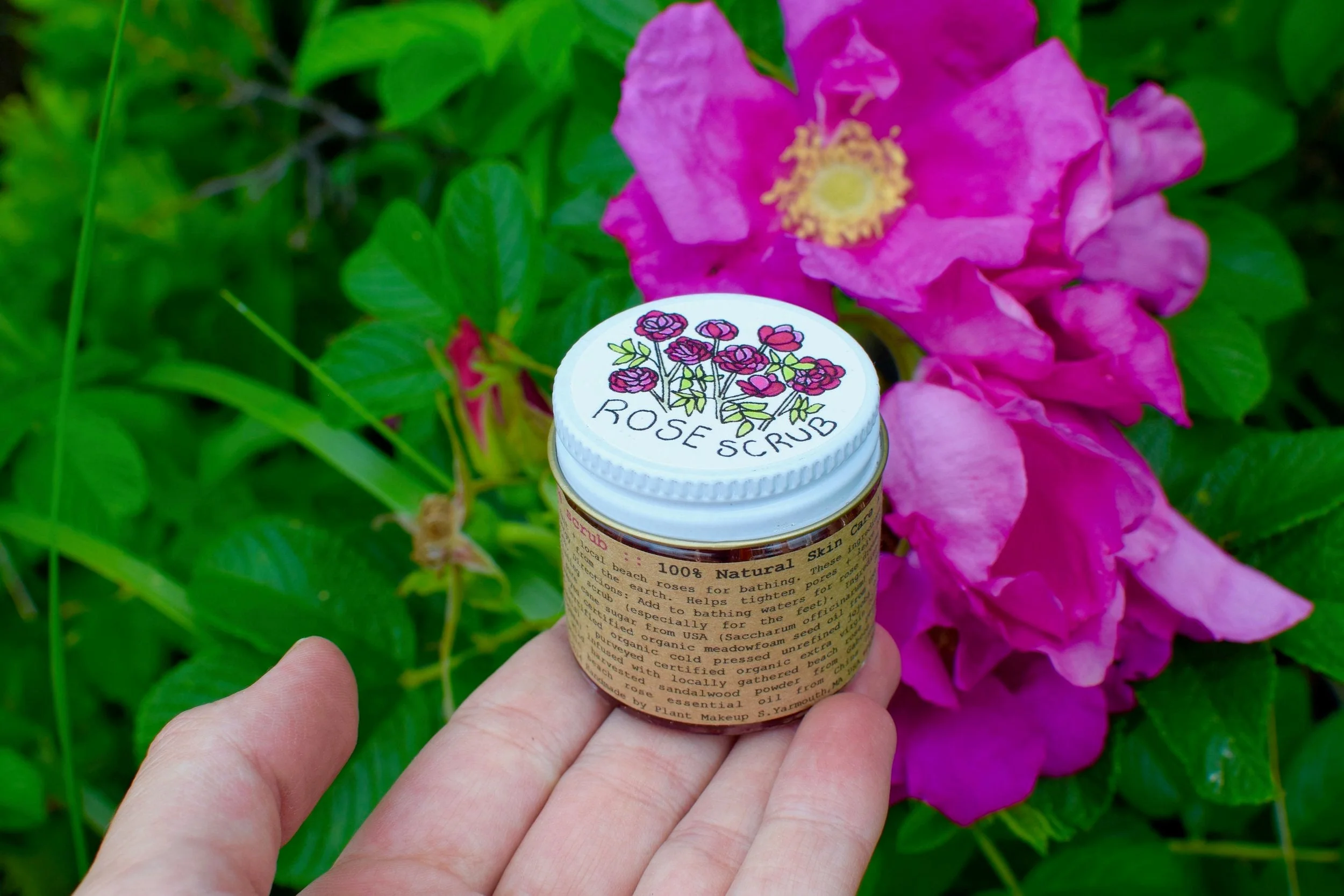 Beach Rose Scrub - Image 4