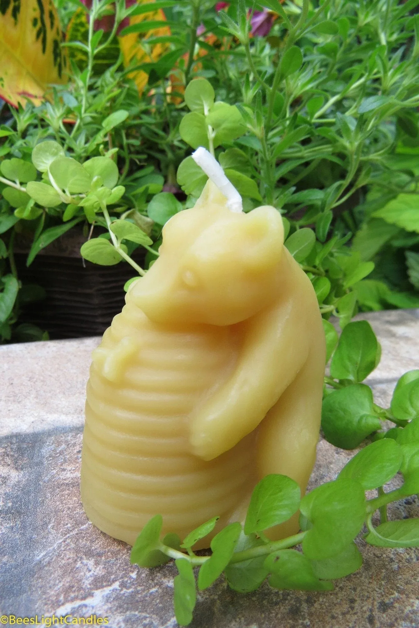 Bear Hugging Beehive Candle - Image 4