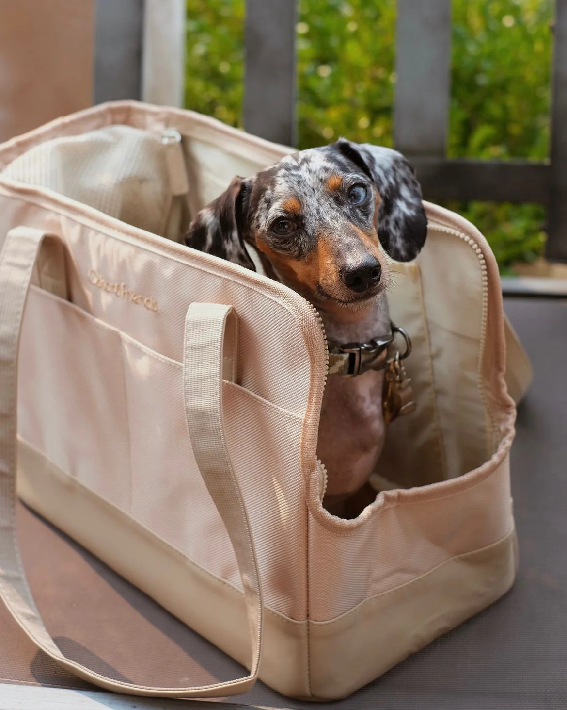 Beige Pet Tote Bag - Image 6