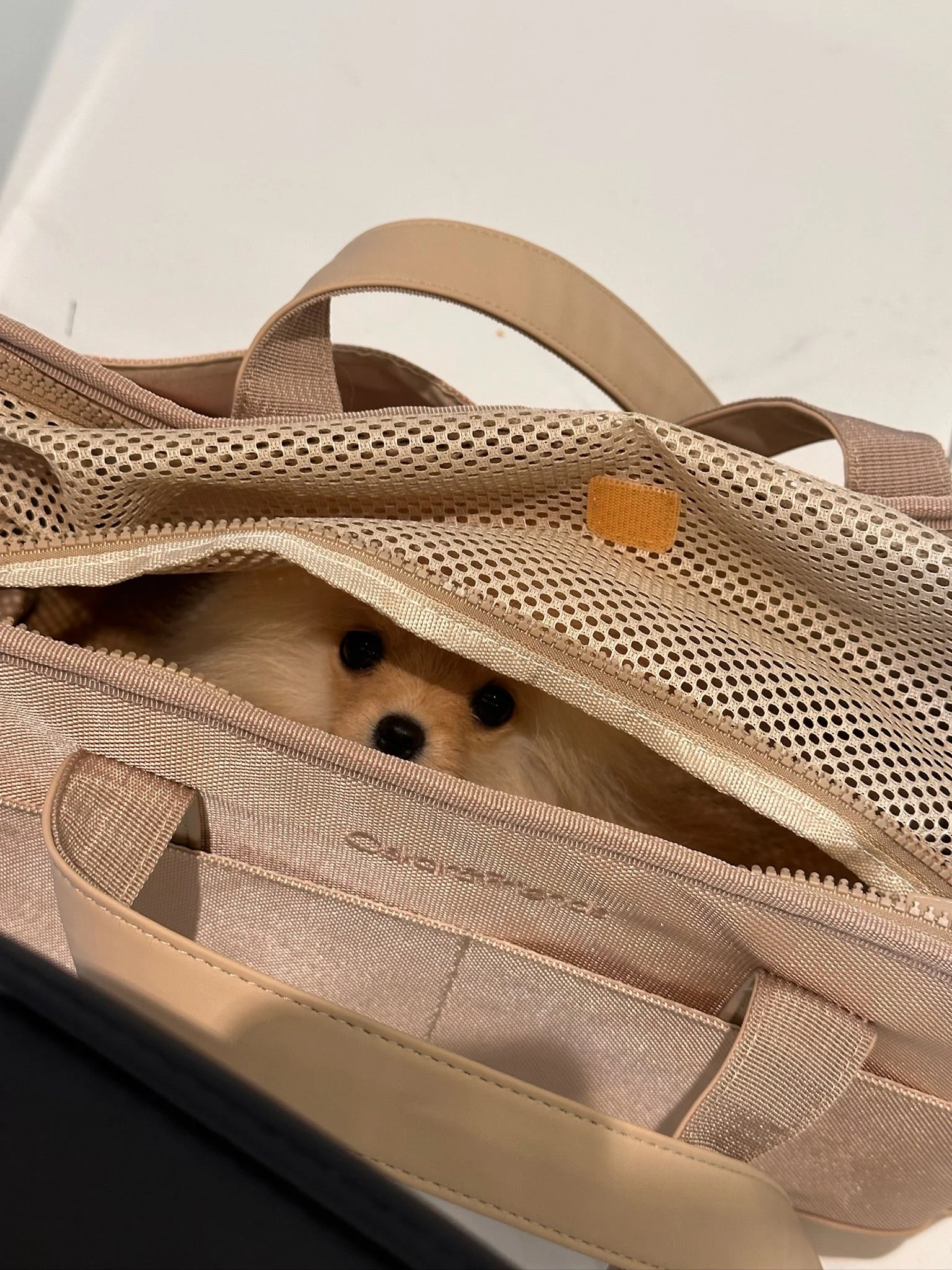 Beige Pet Tote Bag - Image 7