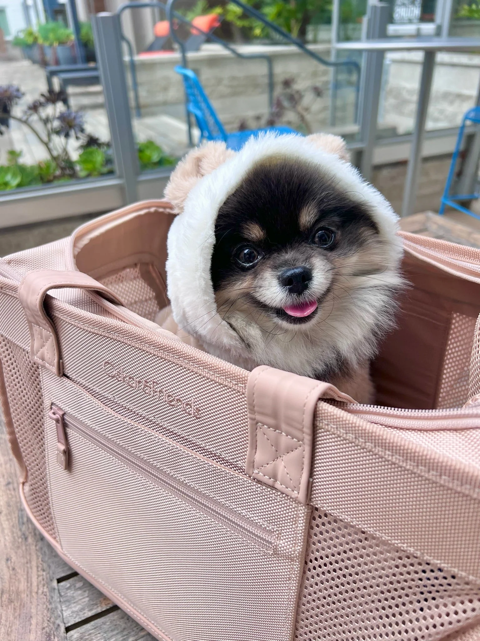 Beige Pet Travel Carrier - Image 5
