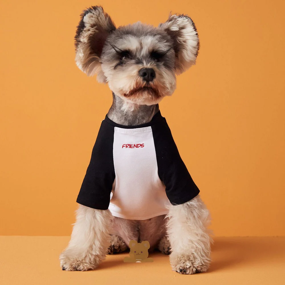 Best Friends Dog Tee For Pets - Image 6