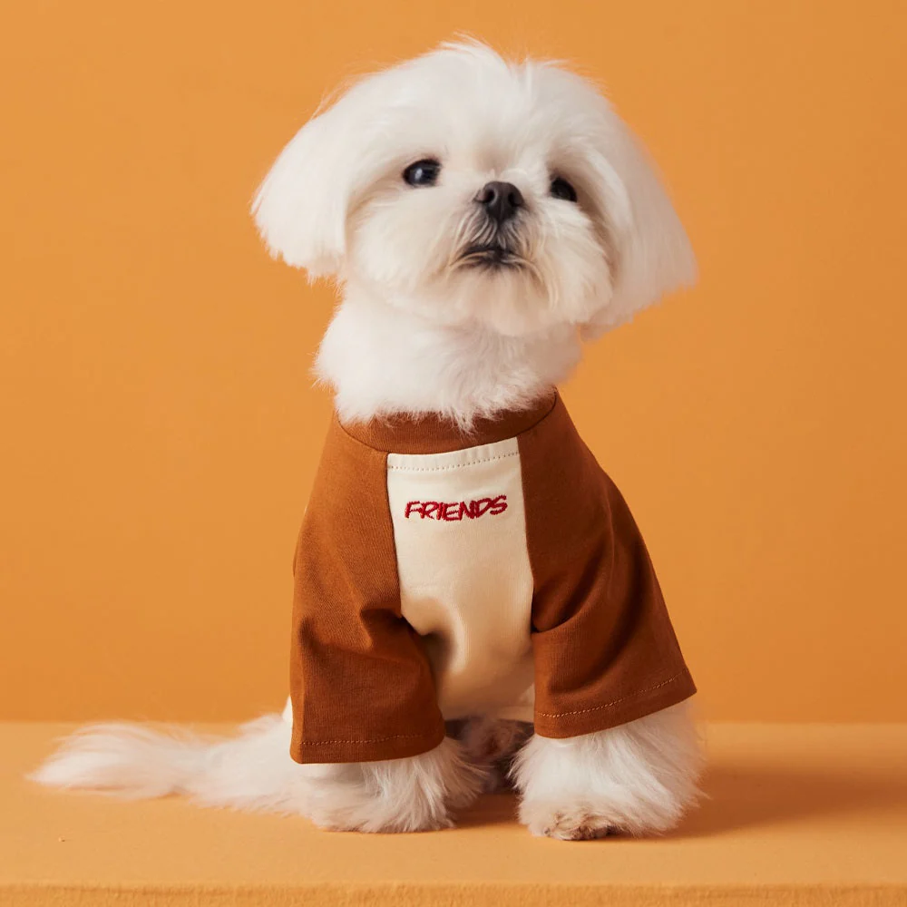 Best Friends Dog Tee For Pets - Image 7