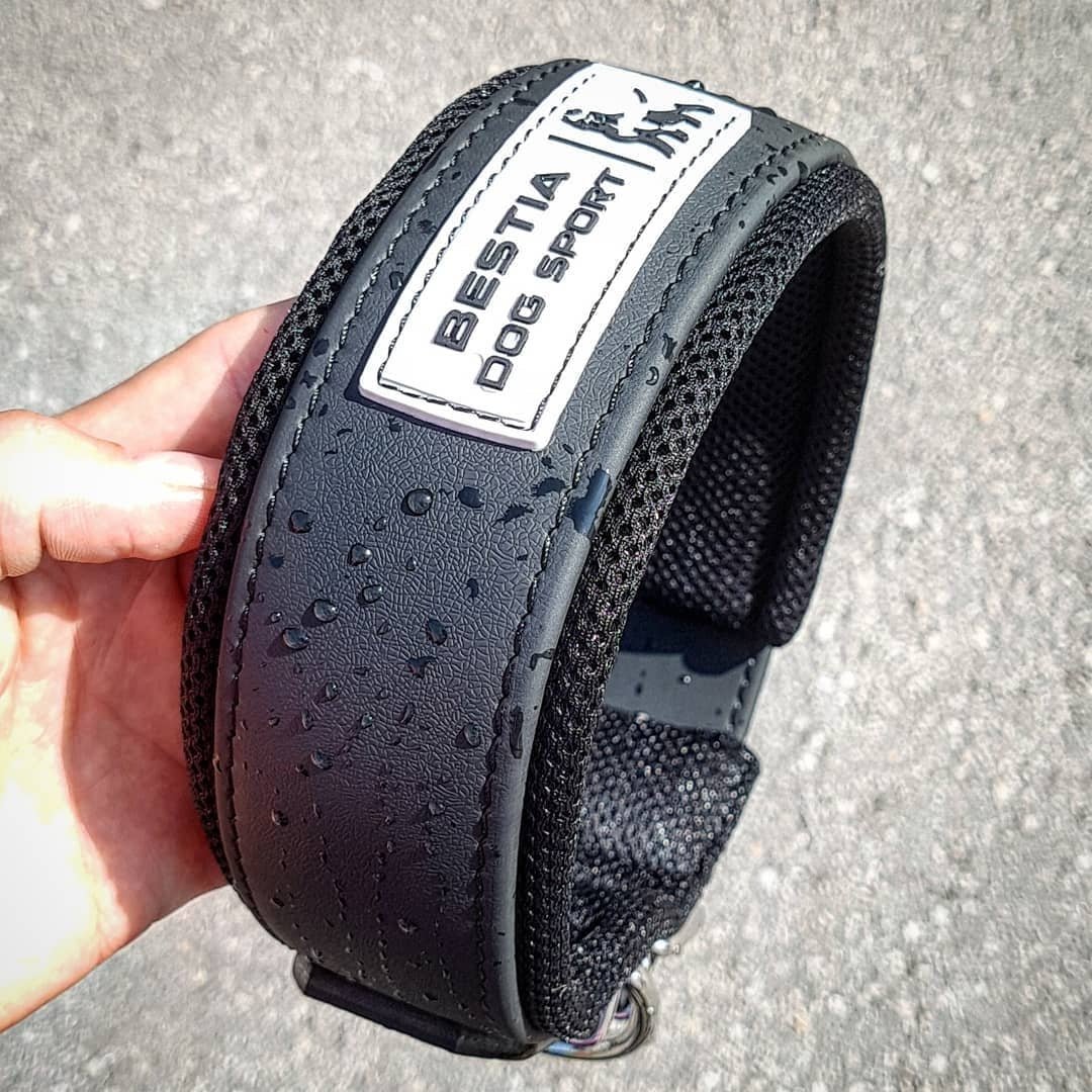 BESTIA DOG SPORT COLLAR - Image 3