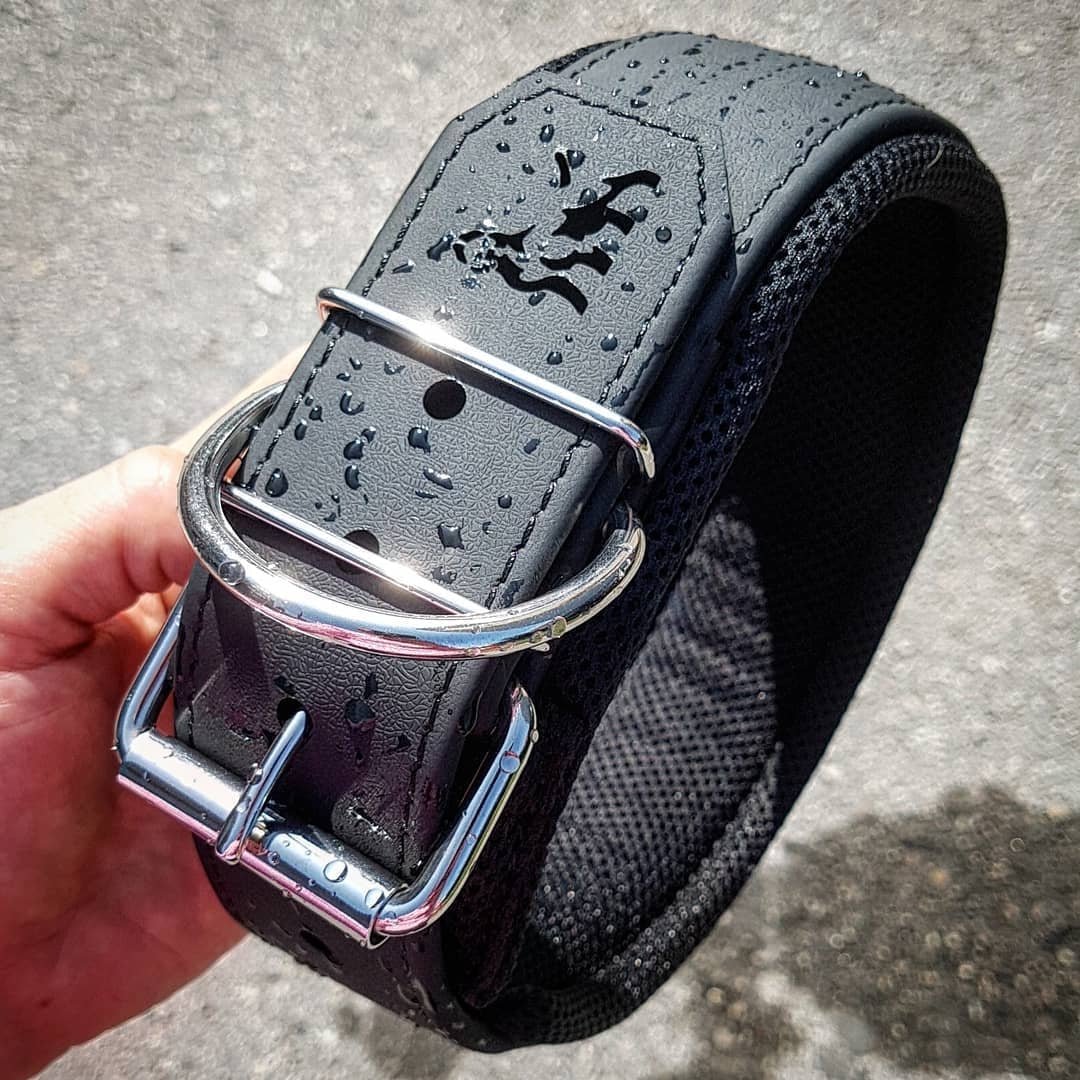 BESTIA DOG SPORT COLLAR - Image 4