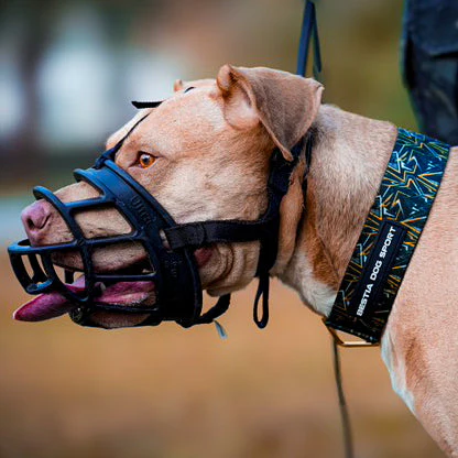 Bestia Dog Sport GripPro Print Collar - Gold - Image 3