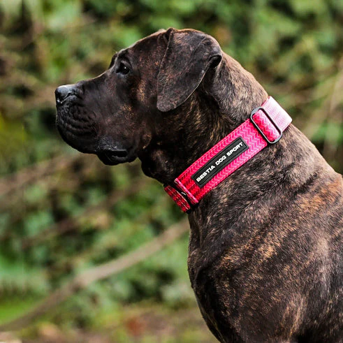 Bestia Dog Sport GripPro Print Collar - Pink - Image 5