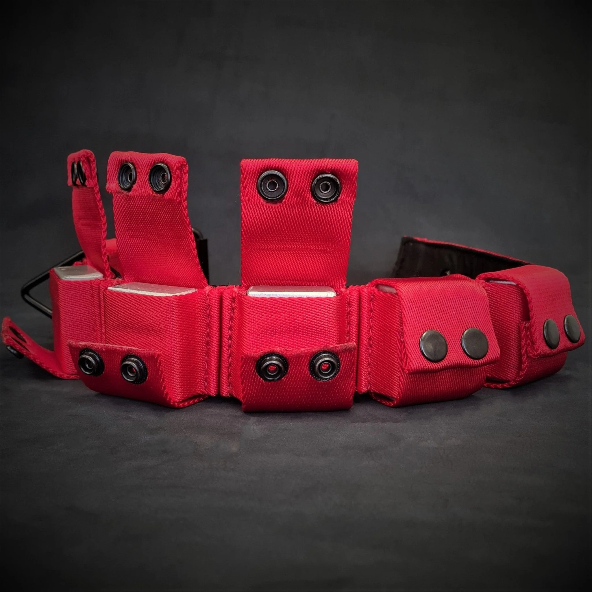 BESTIA DOG SPORT Weighted Dog Training Collar - Image 10