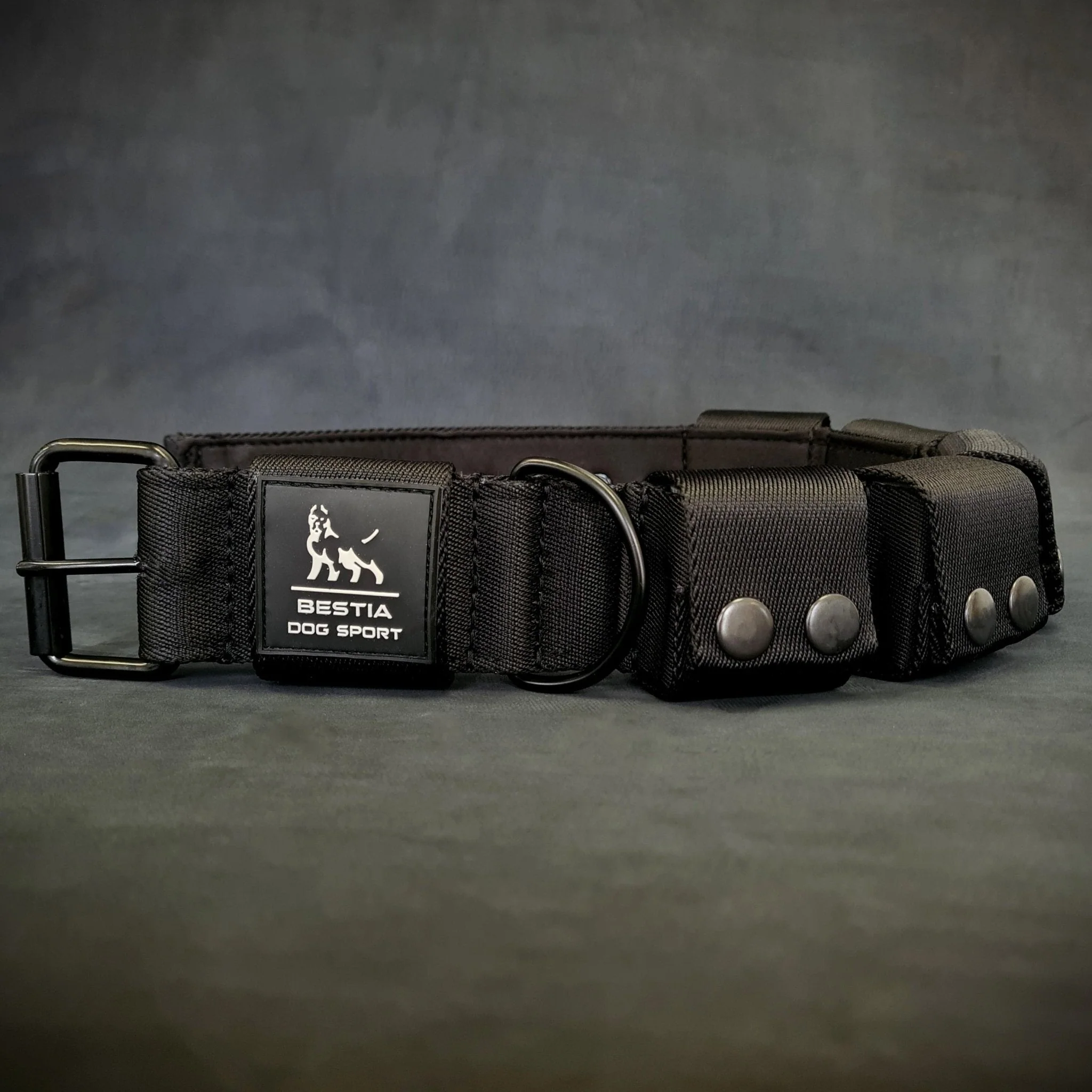BESTIA DOG SPORT Weighted Dog Training Collar - Image 2
