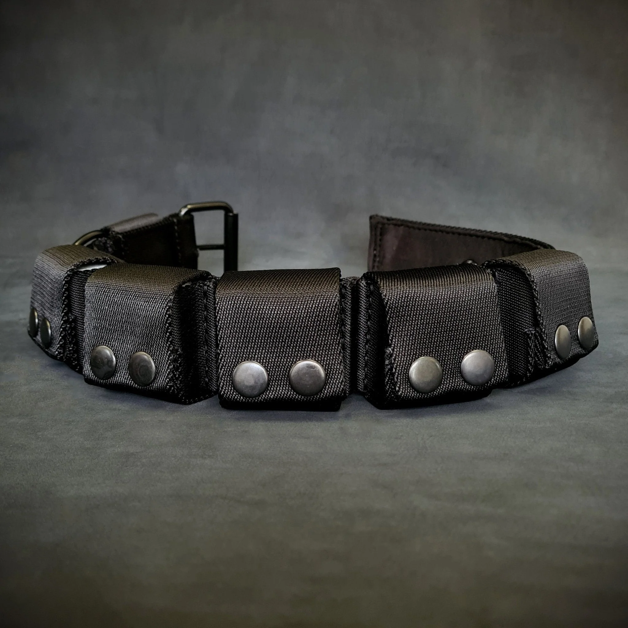 BESTIA DOG SPORT Weighted Dog Training Collar - Image 3
