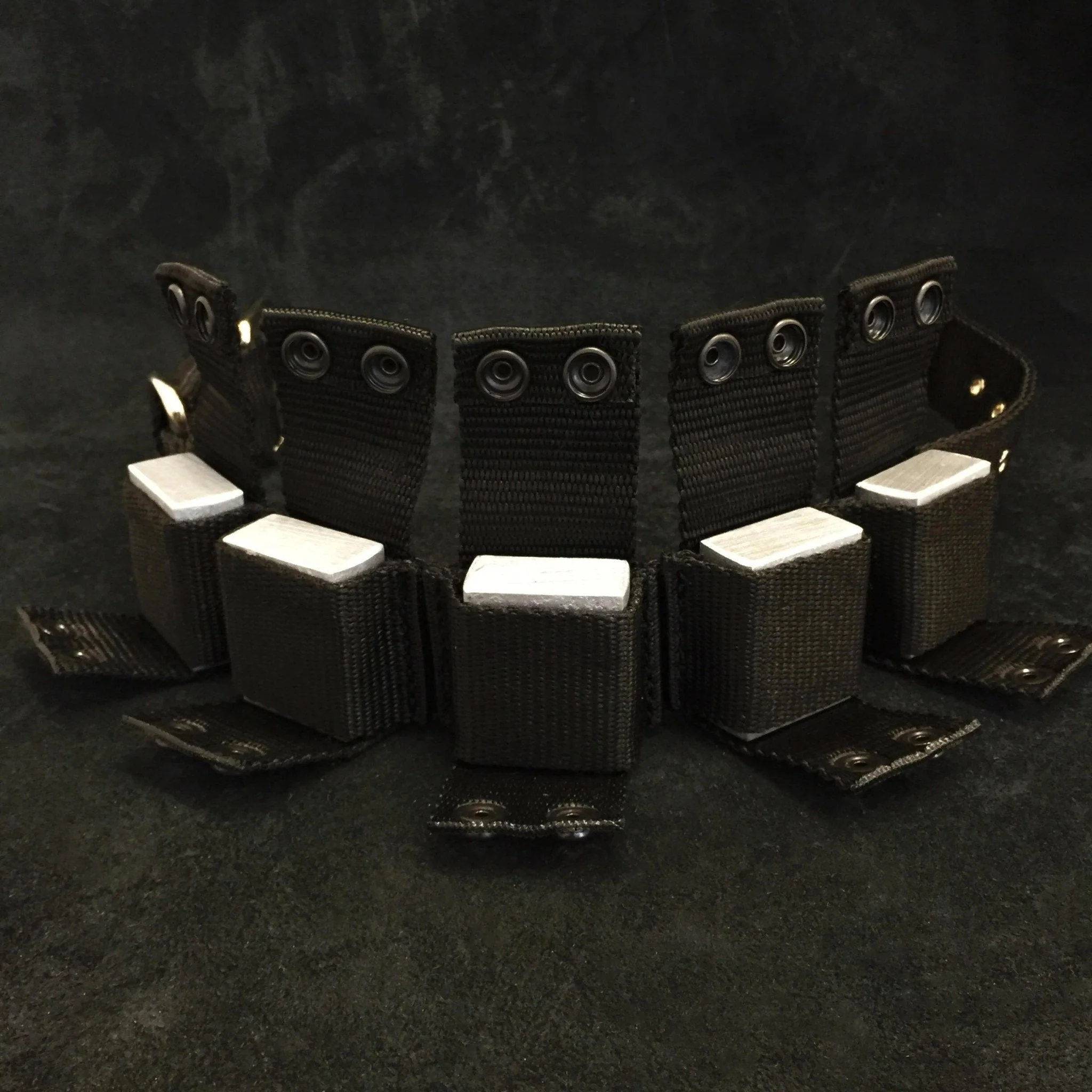BESTIA DOG SPORT Weighted Dog Training Collar - Image 4