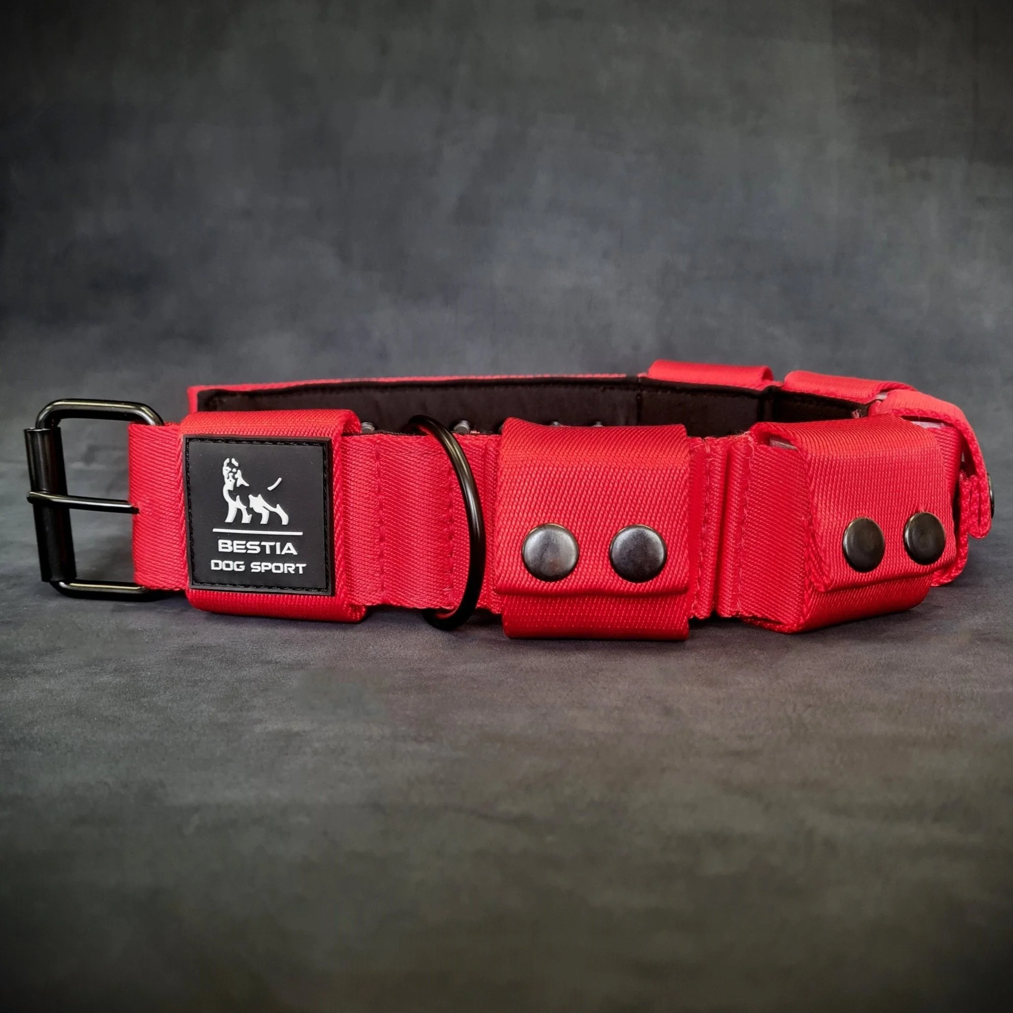 BESTIA DOG SPORT Weighted Dog Training Collar - Image 9