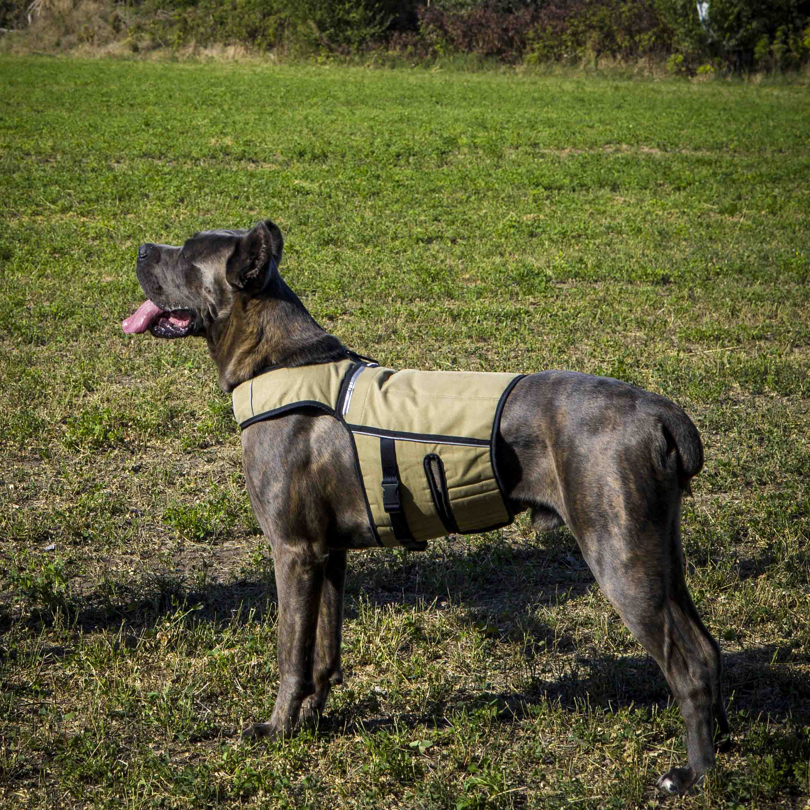 Bestia Dog Sport Weighted Harness - Image 6