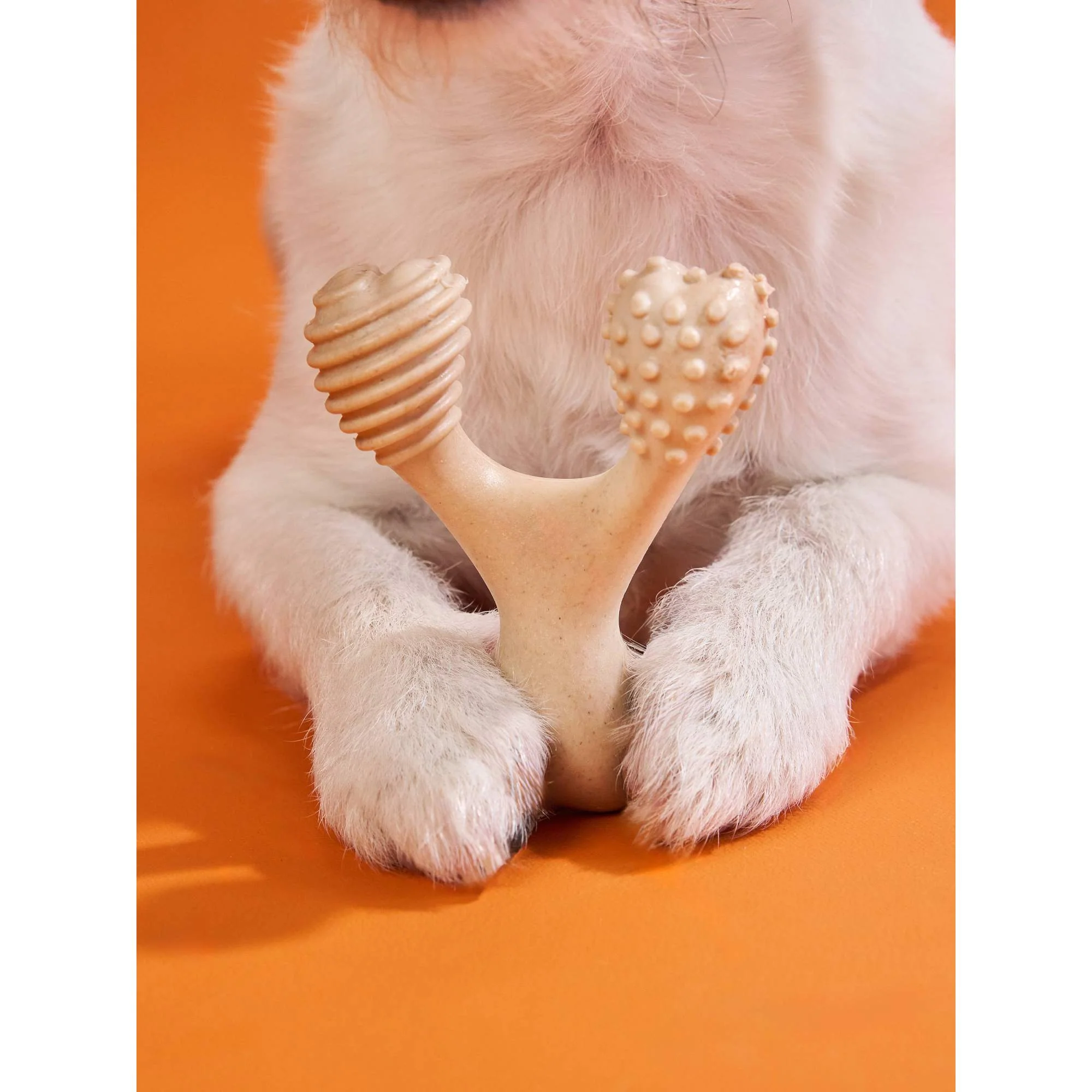 BetterBone HARD CHEW TOY: Natural Ingredients, eco-friendly, and ultra-durable chew for the toughest chewers! - Image 10