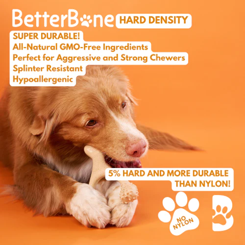 BetterBone HARD CHEW TOY: Natural Ingredients, eco-friendly, and ultra-durable chew for the toughest chewers! - Image 2