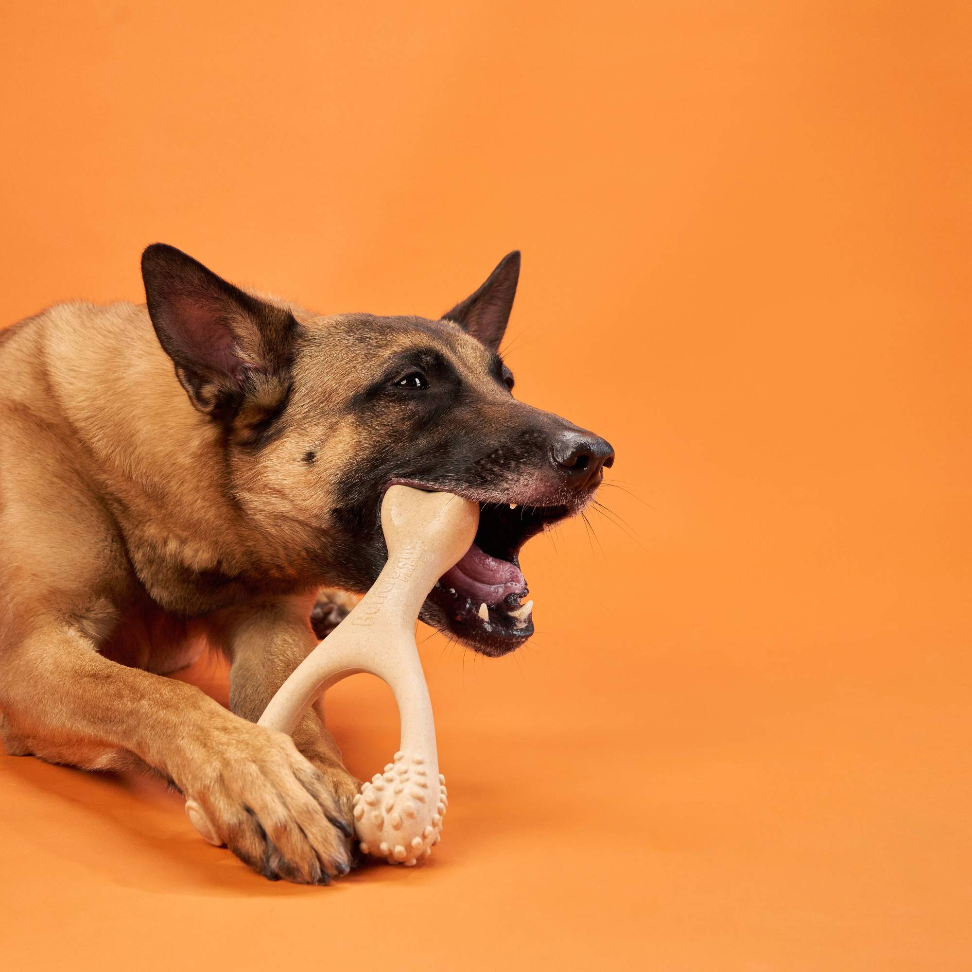 BetterBone HARD CHEW TOY: Natural Ingredients, eco-friendly, and ultra-durable chew for the toughest chewers! - Image 6