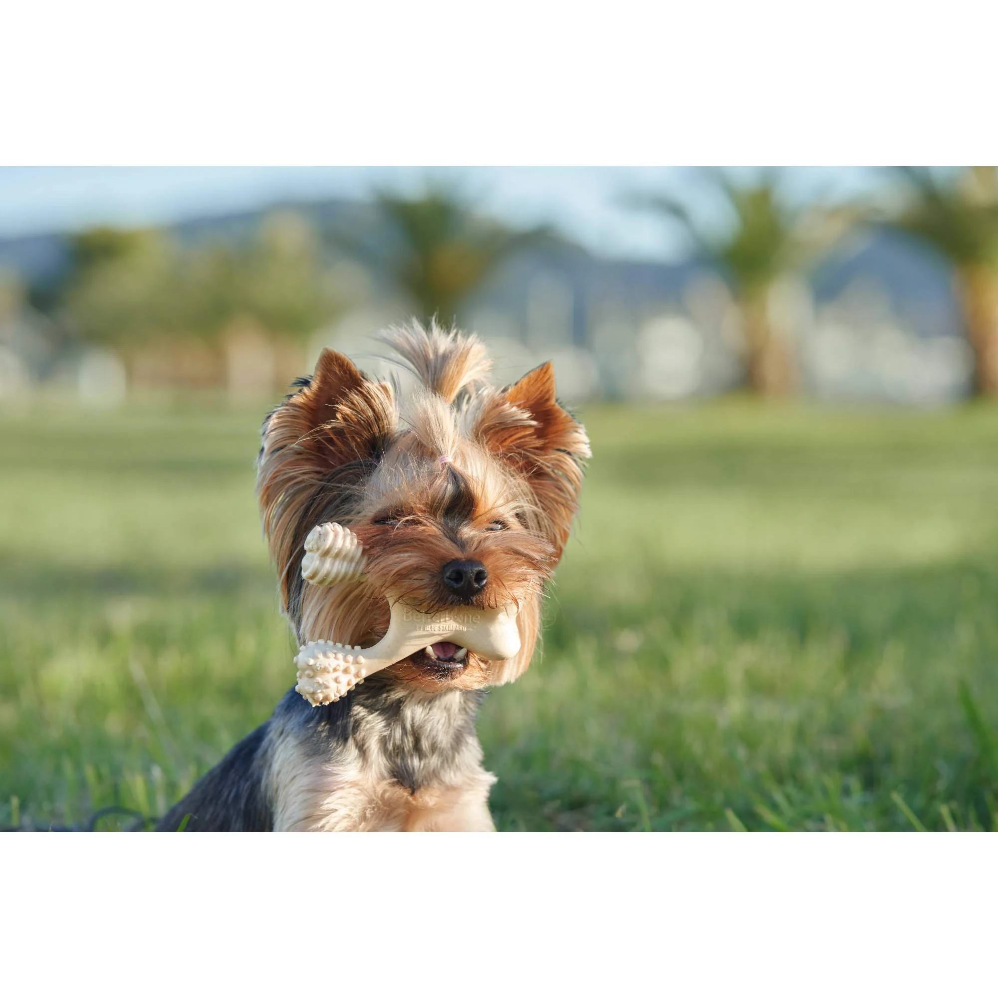 BetterBone HARD CHEW TOY: Natural Ingredients, eco-friendly, and ultra-durable chew for the toughest chewers! - Image 7