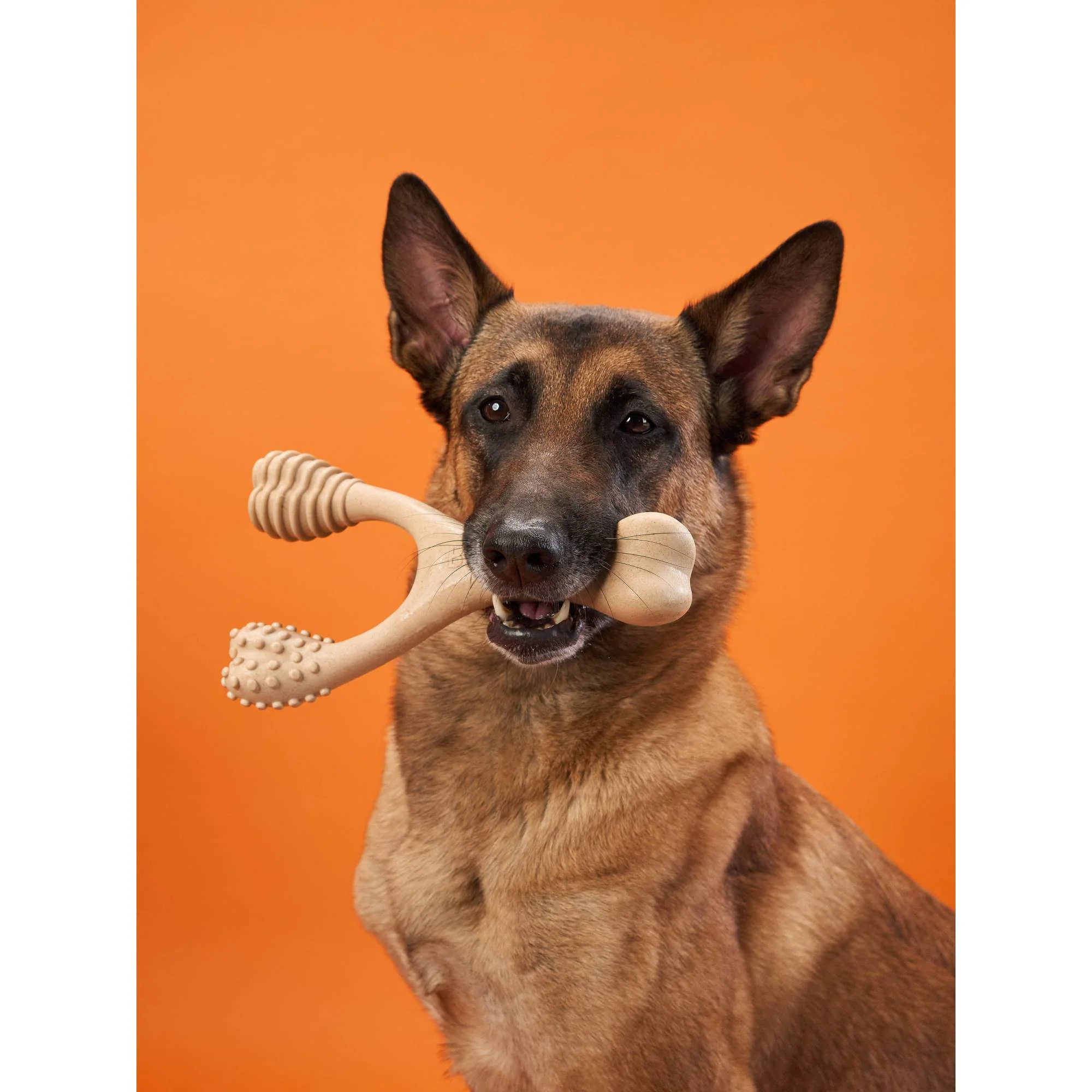 BetterBone HARD CHEW TOY: Natural Ingredients, eco-friendly, and ultra-durable chew for the toughest chewers! - Image 8