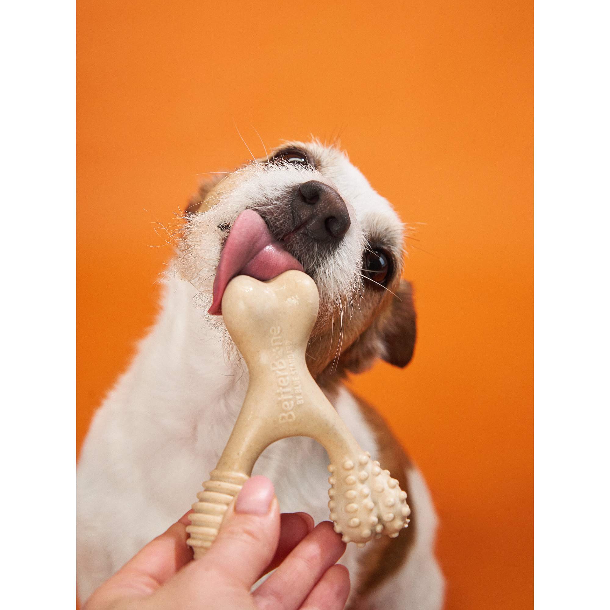 BetterBone HARD CHEW TOY: Natural Ingredients, eco-friendly, and ultra-durable chew for the toughest chewers! - Image 9