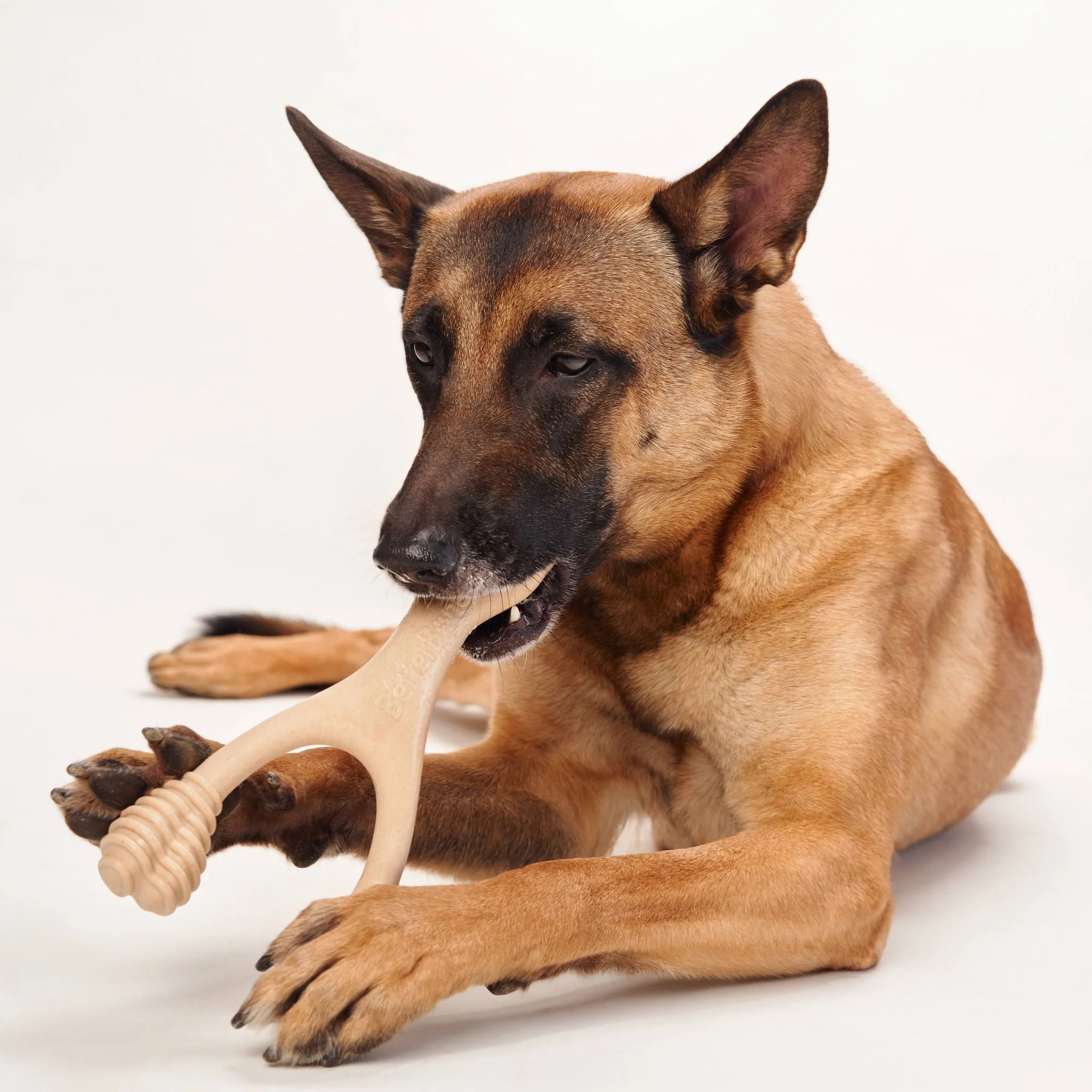 BetterBone MEDIUM Durability CHEW TOY: Perfect Chew for Everyday Chewers | Natural Ingredients, Eco-Friendly, Non-Toxic - Image 9