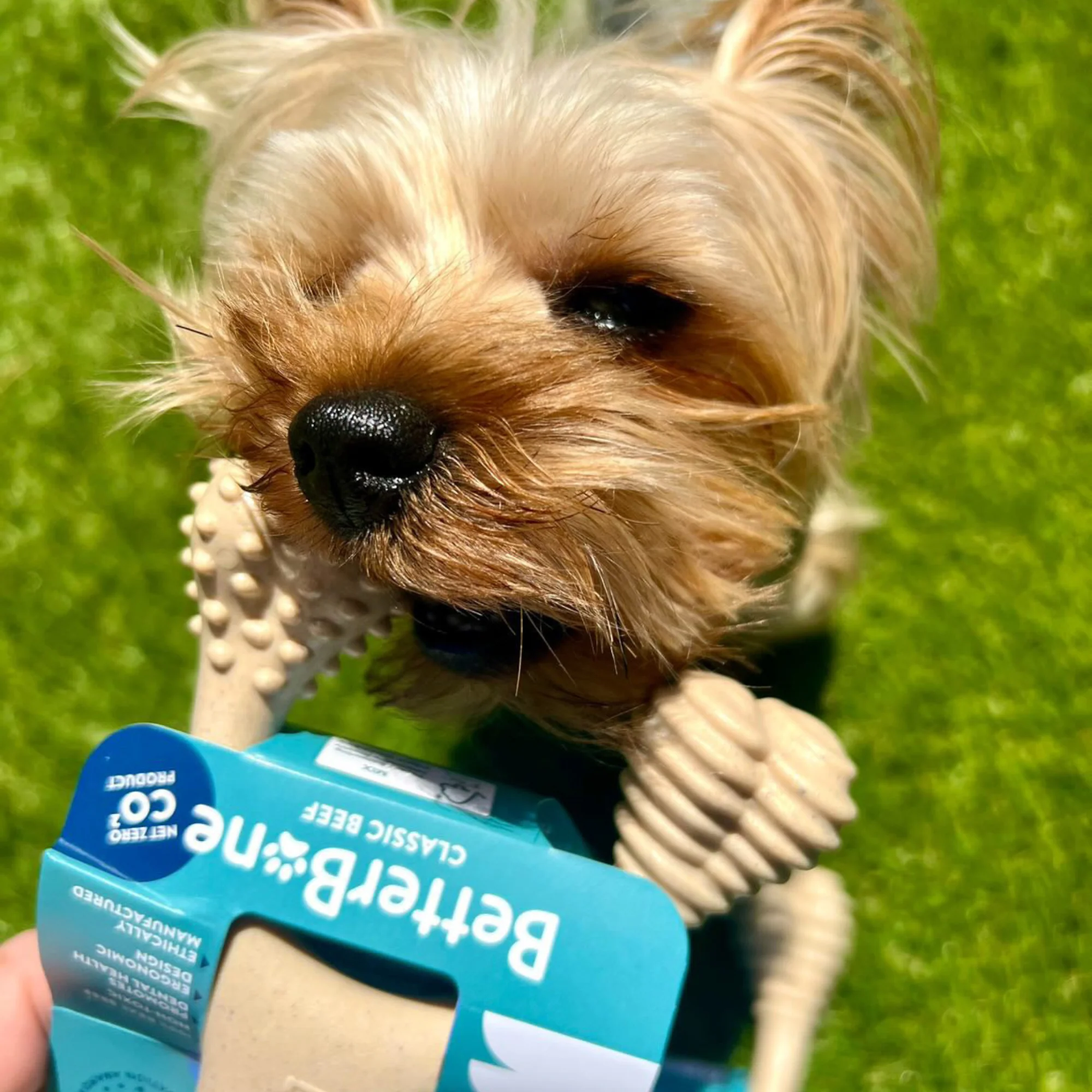 BetterBone SOFT Durability CHEW TOY: Natural Ingredients, Perfect for Teething Puppies, Senior Dogs & Gentle Chewers - Image 10