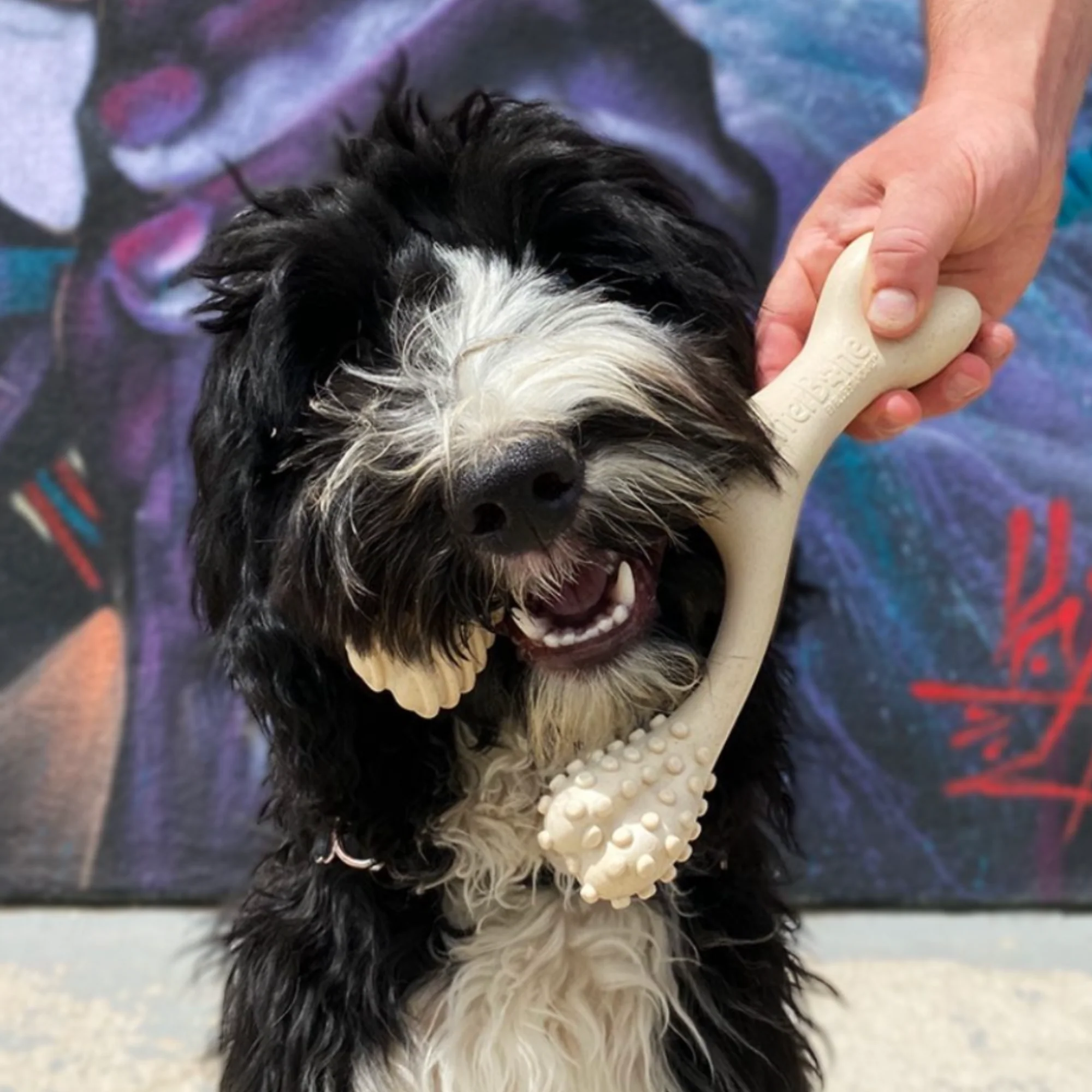 BetterBone SOFT Durability CHEW TOY: Natural Ingredients, Perfect for Teething Puppies, Senior Dogs & Gentle Chewers - Image 12