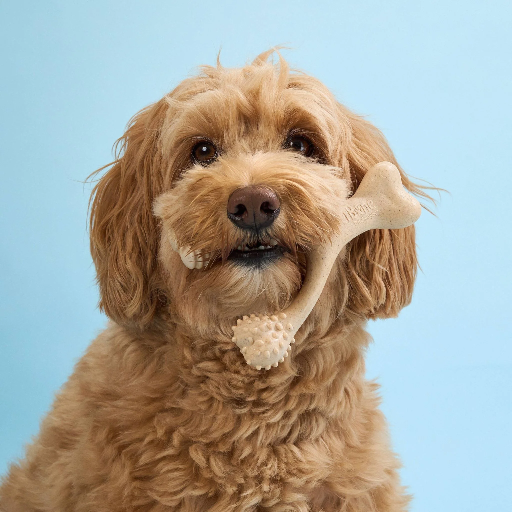 BetterBone SOFT Durability CHEW TOY: Natural Ingredients, Perfect for Teething Puppies, Senior Dogs & Gentle Chewers - Image 14