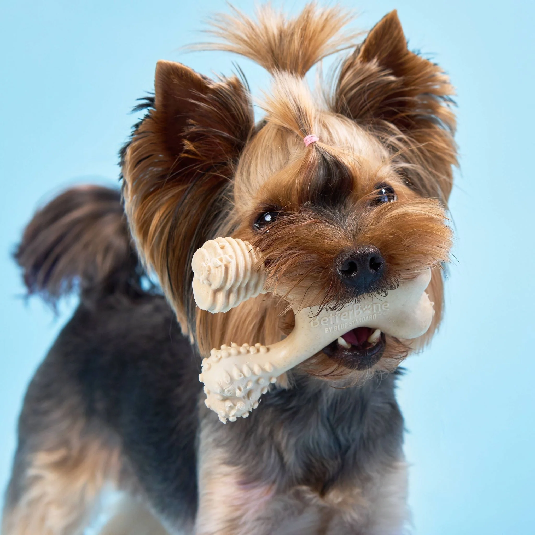 BetterBone SOFT Durability CHEW TOY: Natural Ingredients, Perfect for Teething Puppies, Senior Dogs & Gentle Chewers - Image 2