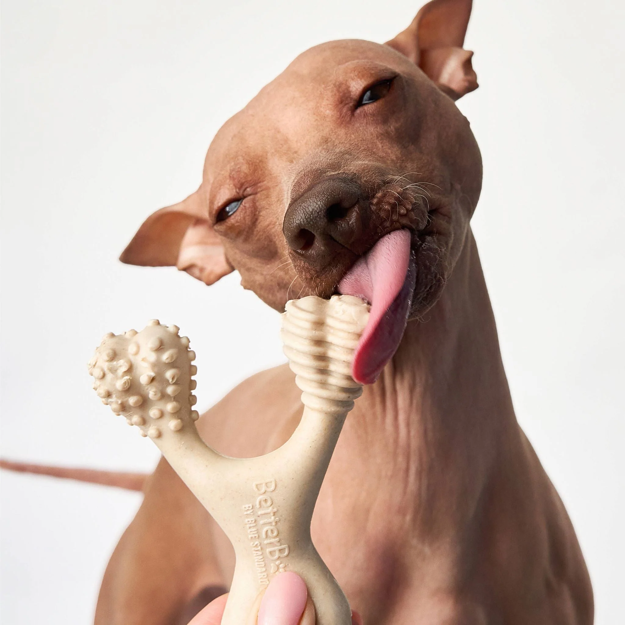 BetterBone SOFT Durability CHEW TOY: Natural Ingredients, Perfect for Teething Puppies, Senior Dogs & Gentle Chewers - Image 8