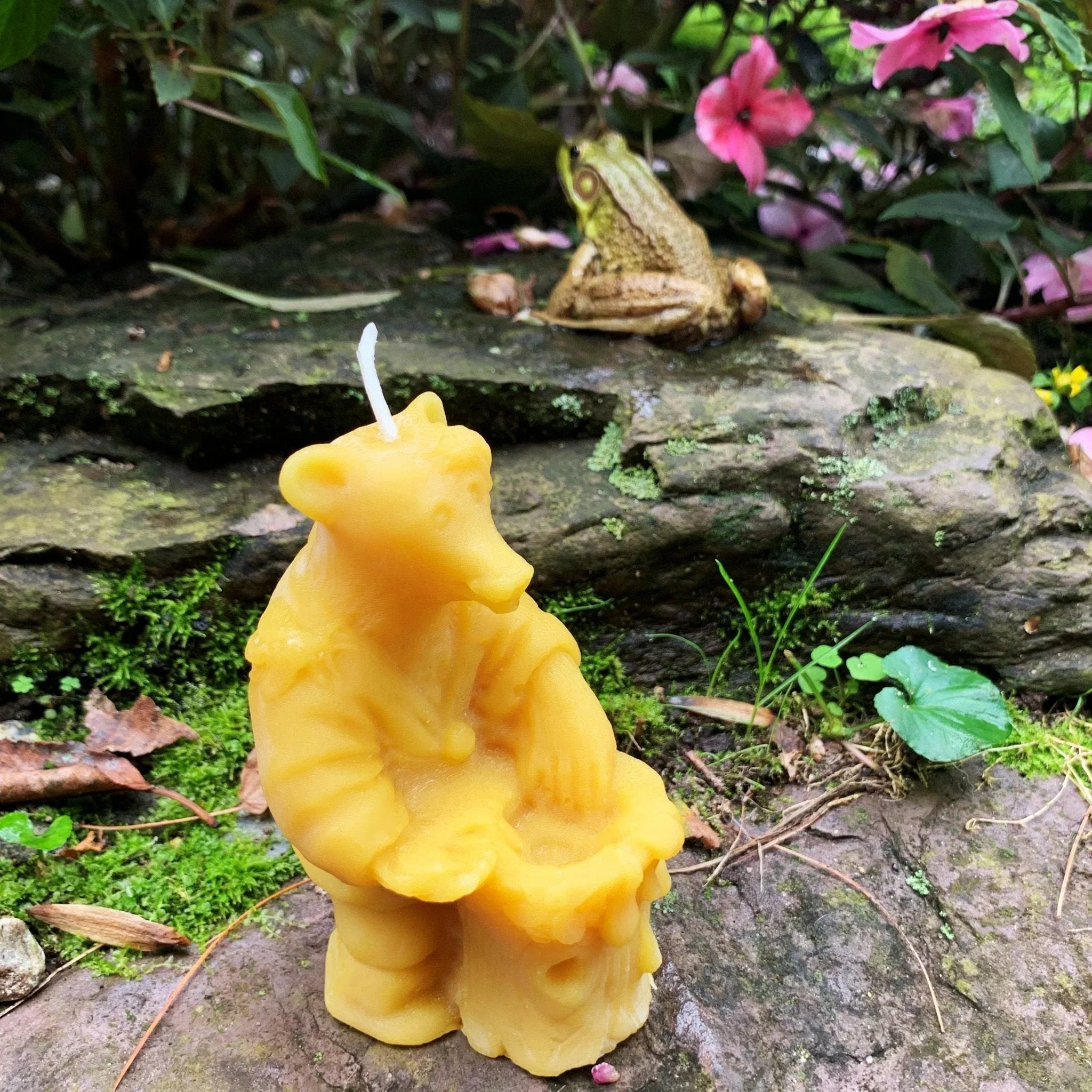 Big Bear Honeypot Beeswax Candle - Image 2