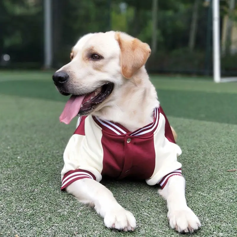 Big Dog Baseball Suit - Image 11