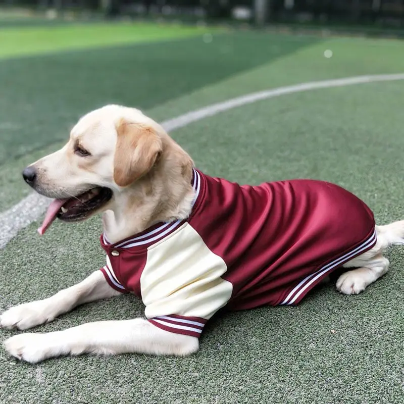 Big Dog Baseball Suit - Image 12