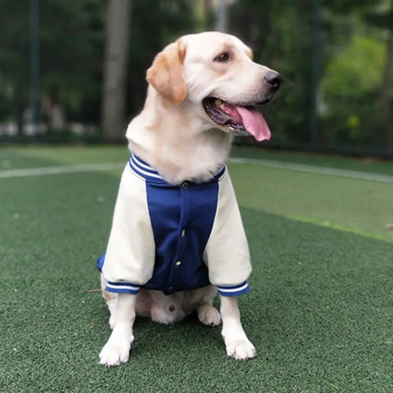 Big Dog Baseball Suit - Image 13