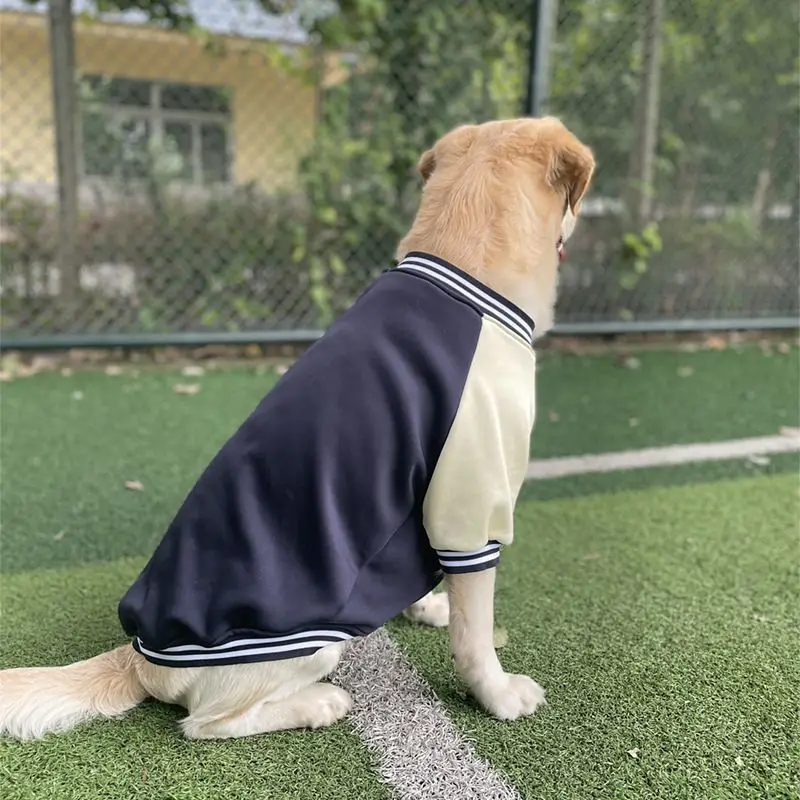 Big Dog Baseball Suit - Image 14