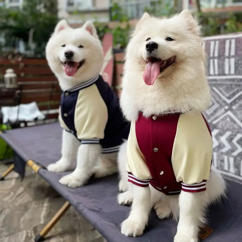Big Dog Baseball Suit - Image 16