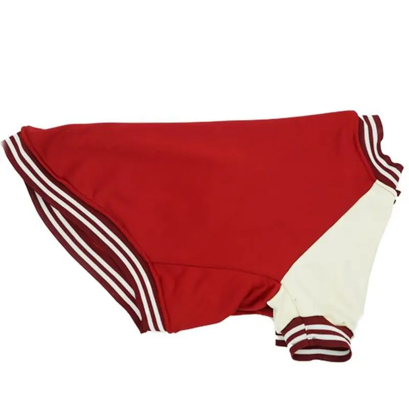 Big Dog Baseball Suit - Image 17
