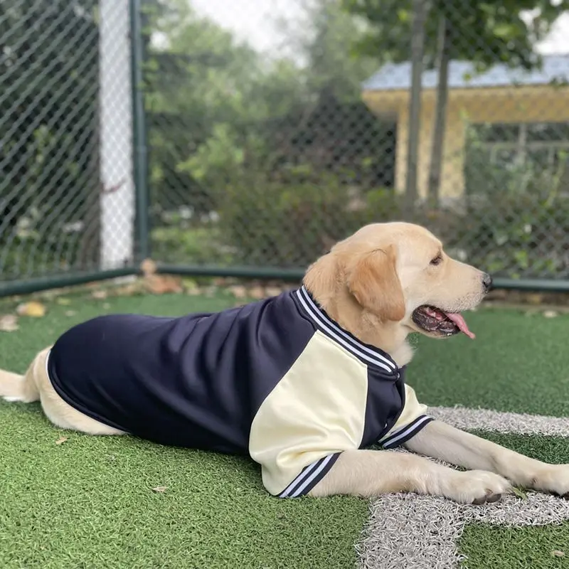 Big Dog Baseball Suit - Image 21