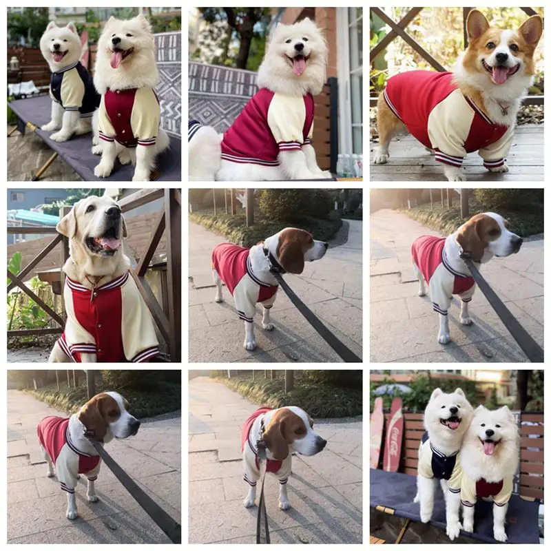 Big Dog Baseball Suit - Image 3