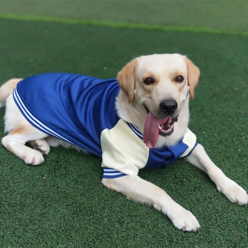 Big Dog Baseball Suit - Image 5