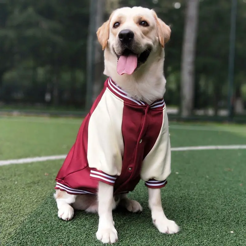 Big Dog Baseball Suit - Image 7