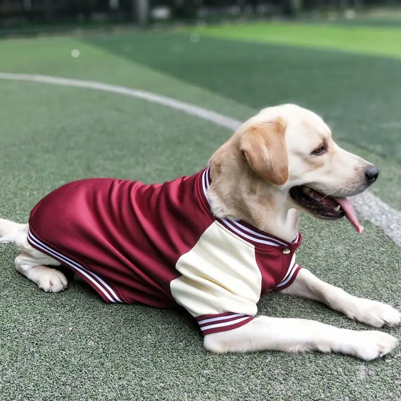 Big Dog Baseball Suit - Image 8
