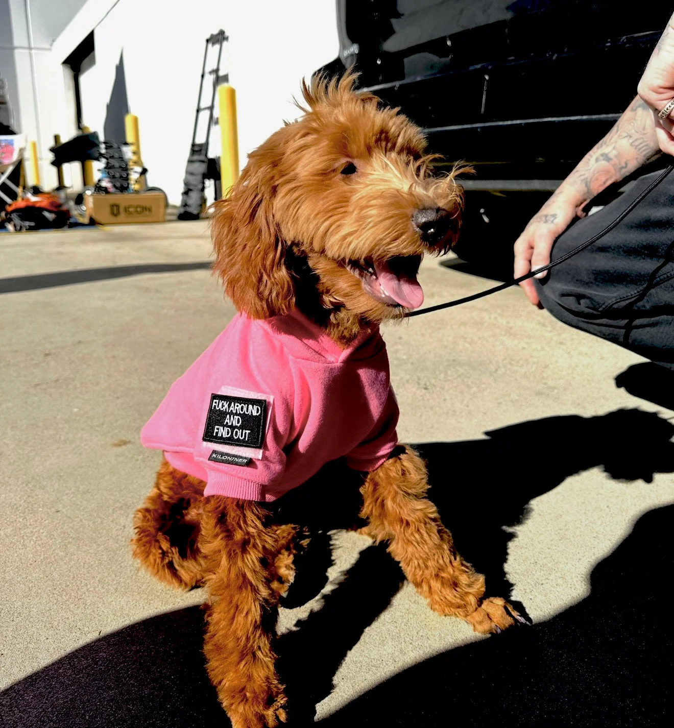 Big Dog Tactical Pull-Over Hoodie - Image 2