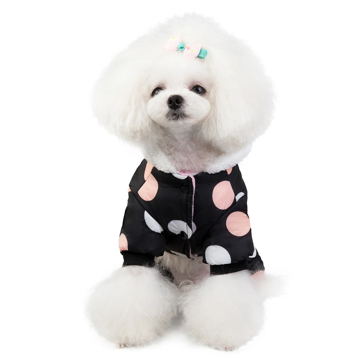 Big Polka Dot Snowsuit Jumpsuit - Image 13